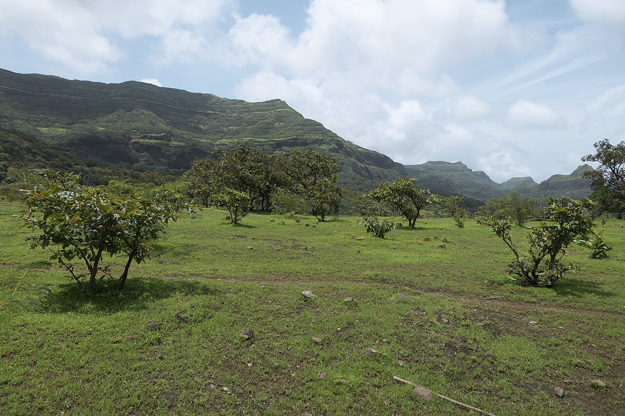 Book Tamhini Ghat Taxi